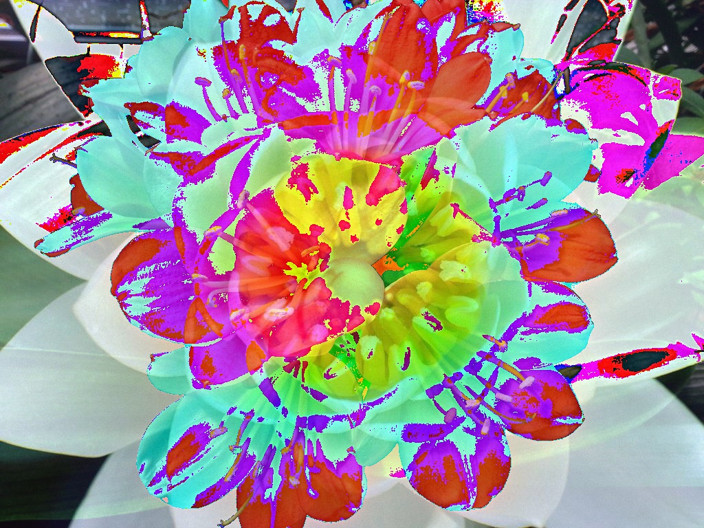 ../../_images/numpy.jpg