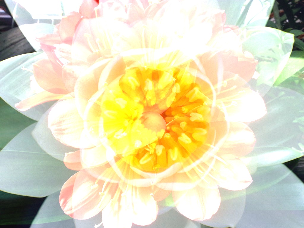 ../../_images/opencv.jpg