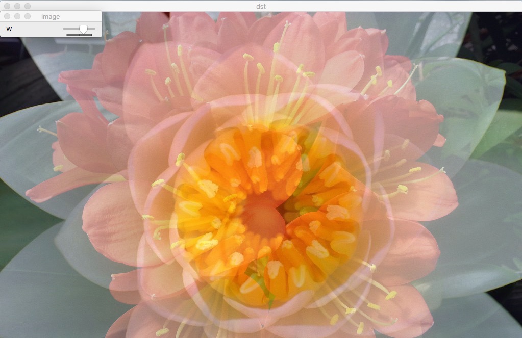 ../../_images/result01.jpg